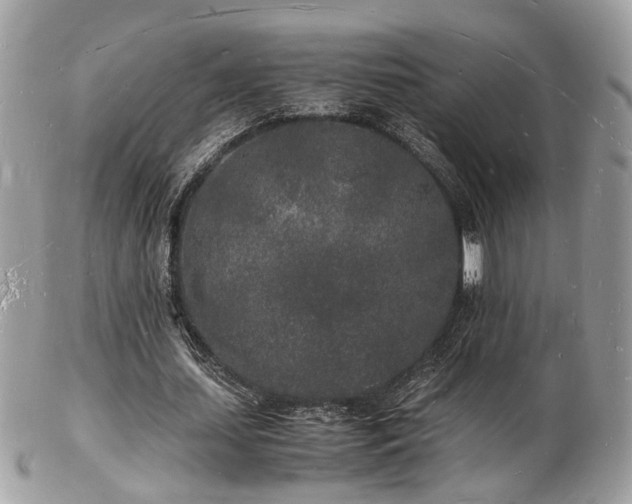 X0000103290627200808291334
