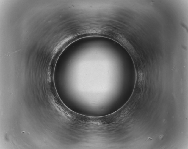 X0000103290628200808291334