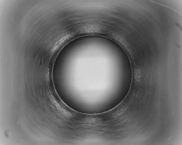 X0000103290629200808291334