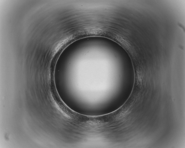 X0000103290630200808291334
