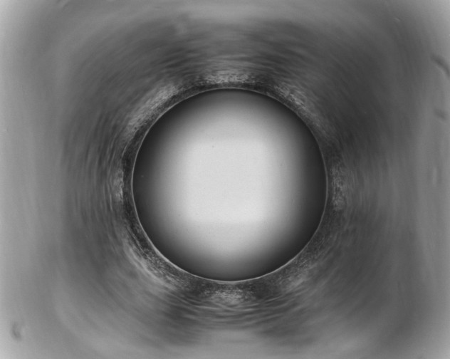 X0000103290631200808291334
