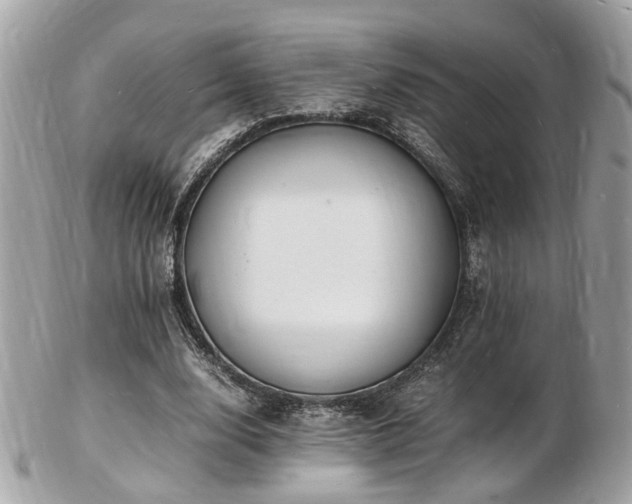 X0000103290632200808291334
