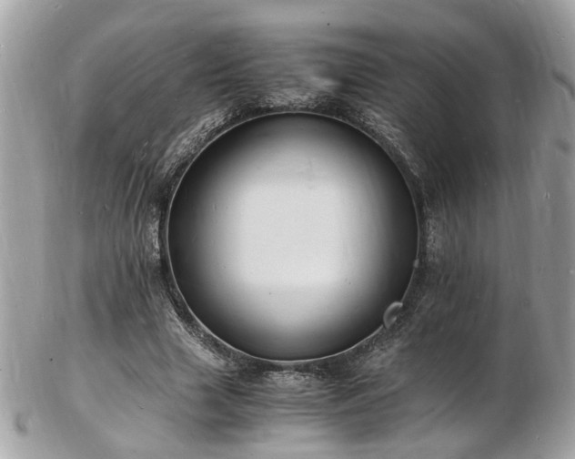 X0000103290633200808291334