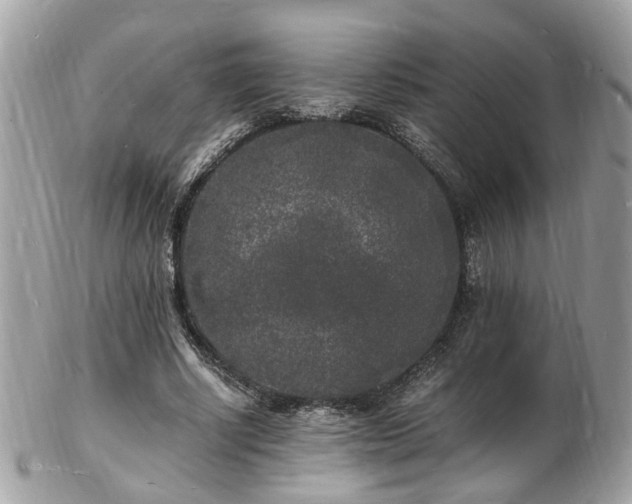 X0000103290634200808291334