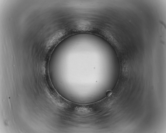 X0000103290635200808291334