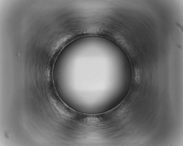 X0000103290636200808291334
