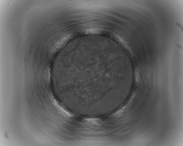 X0000103290637200808291334