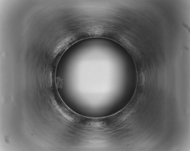 X0000103290638200808291334