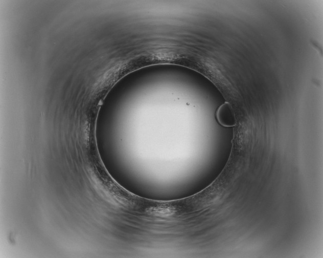 X0000103290639200808291334