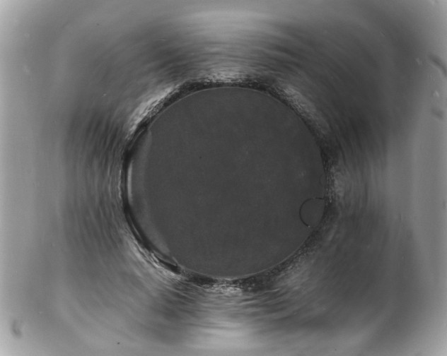 X0000103290640200808291334