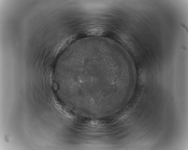 X0000103290641200808291334