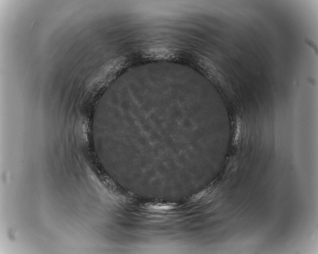 X0000103290643200808291334