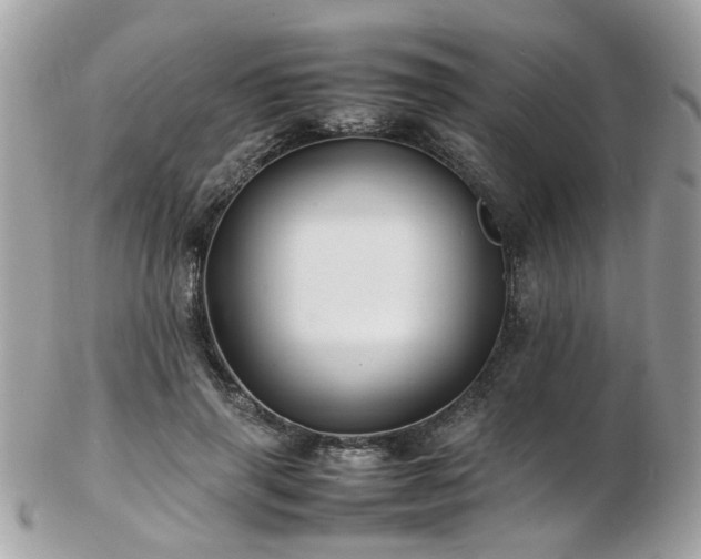 X0000103290645200808291334