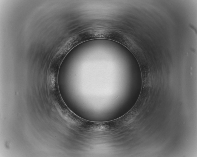 X0000103290646200808291334