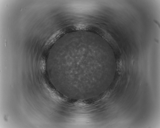 X0000103290648200808291334