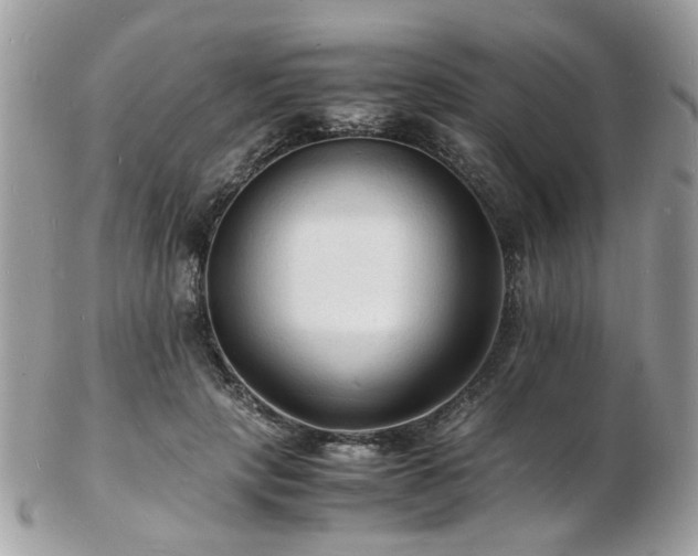 X0000103290649200808291334