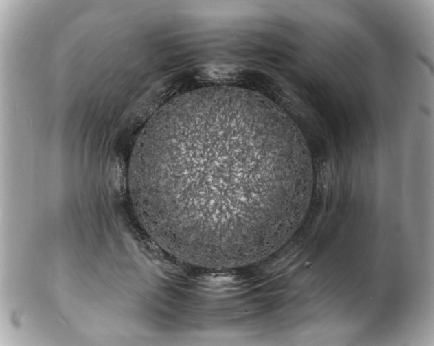 X0000103290651200808291334