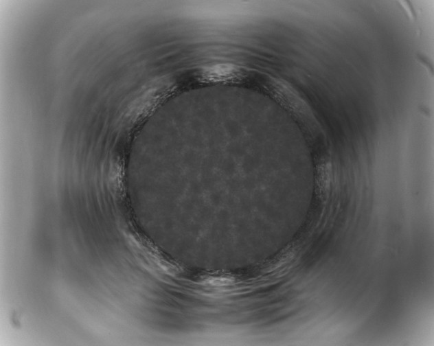 X0000103290653200808291334