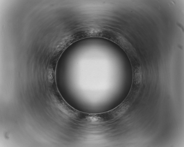 X0000103290654200808291334