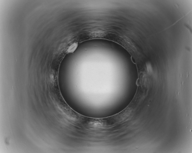 X0000103290655200808291334