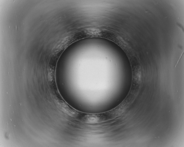 X0000103290658200808291334