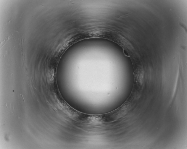 X0000103290660200808291334