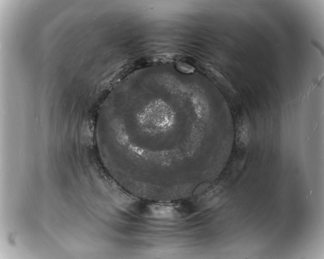 X0000103290661200808291334
