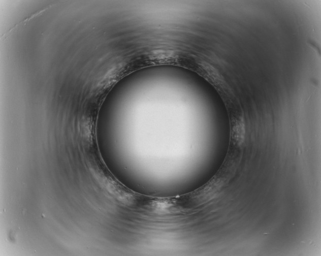 X0000103290662200808291334