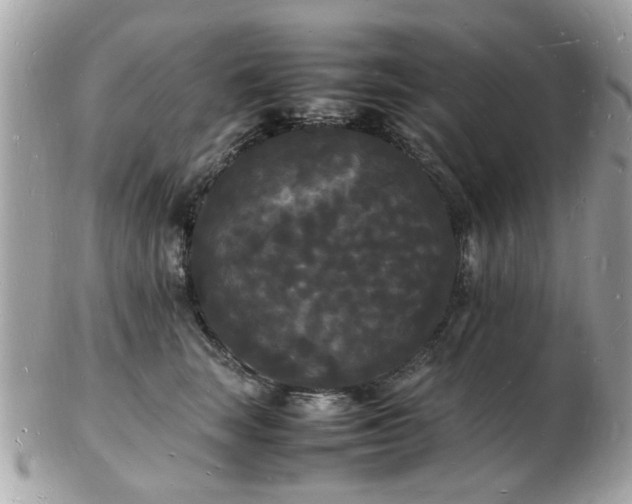 X0000103290663200808291334