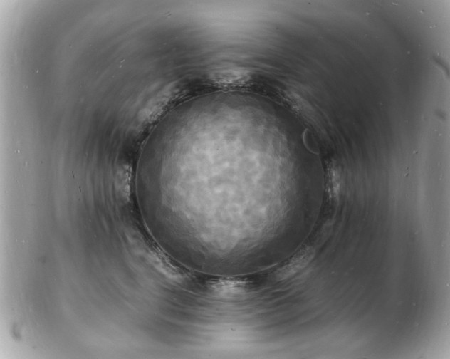 X0000103290664200808291334