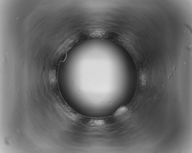 X0000103290665200808291334