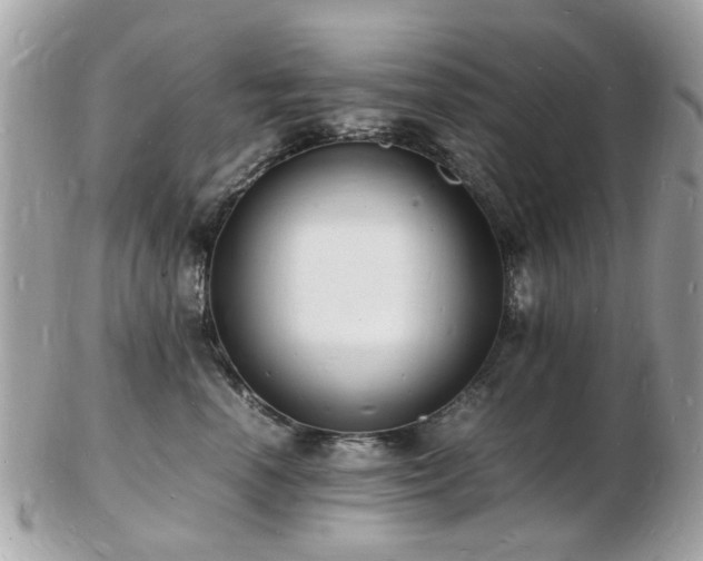 X0000103290666200808291334
