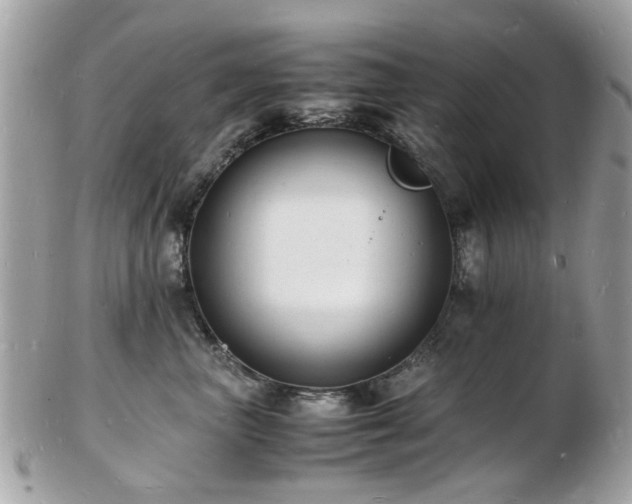 X0000103290667200808291334