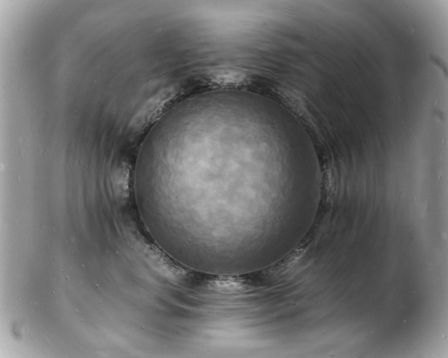 X0000103290668200808291334