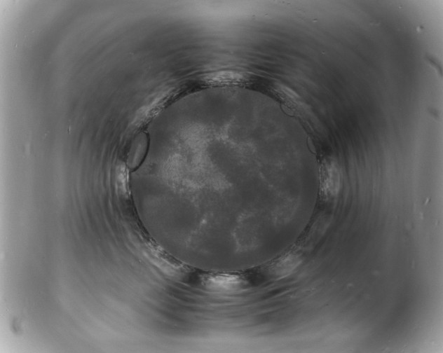 X0000103290669200808291334
