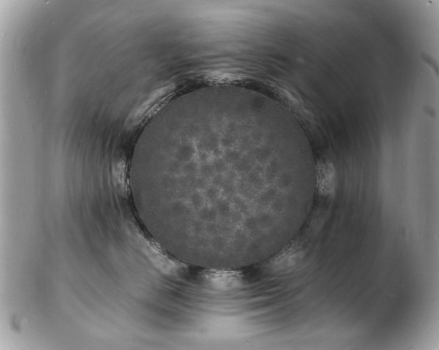 X0000103290670200808291334