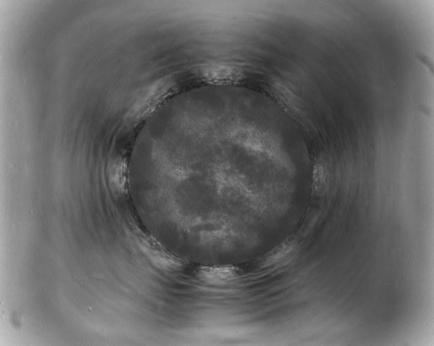 X0000103290671200808291334