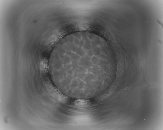 X0000103290672200808291334