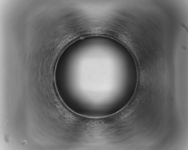 X0000103290673200808291334