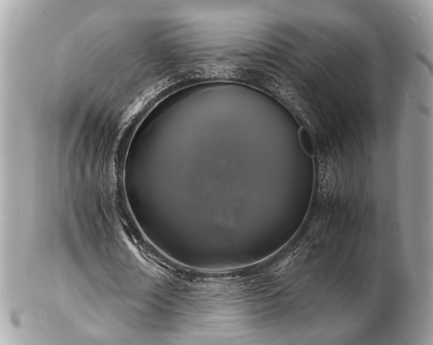 X0000103290674200808291334