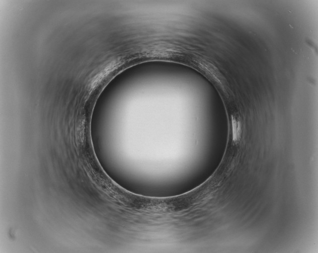 X0000103290675200808291334