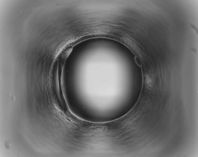 X0000103290676200808291334