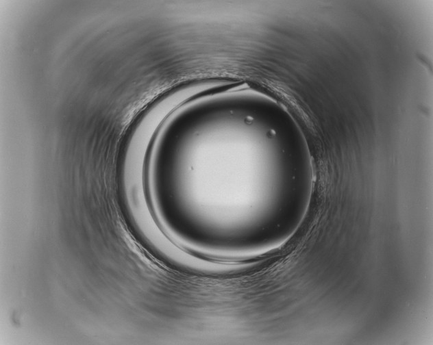 X0000103290677200808291334
