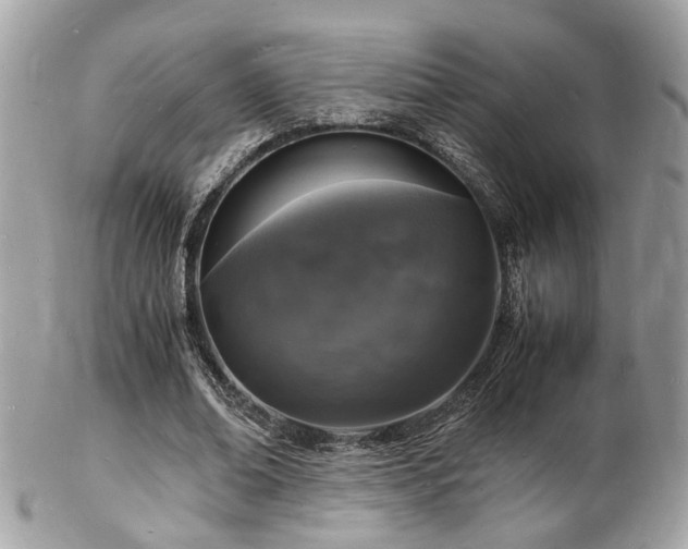 X0000103290678200808291334