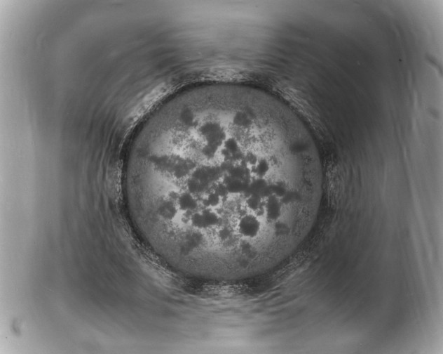 X0000103290679200808291334