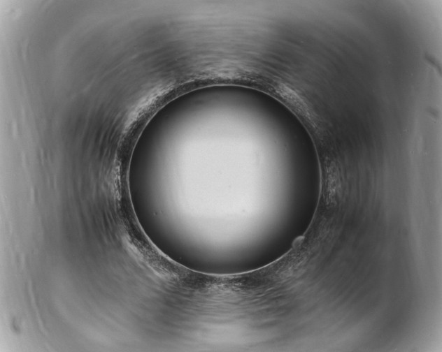 X0000103290680200808291334