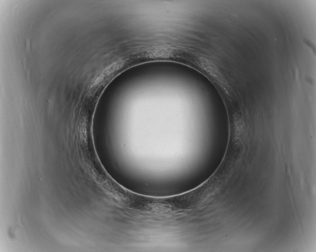 X0000103290681200808291334