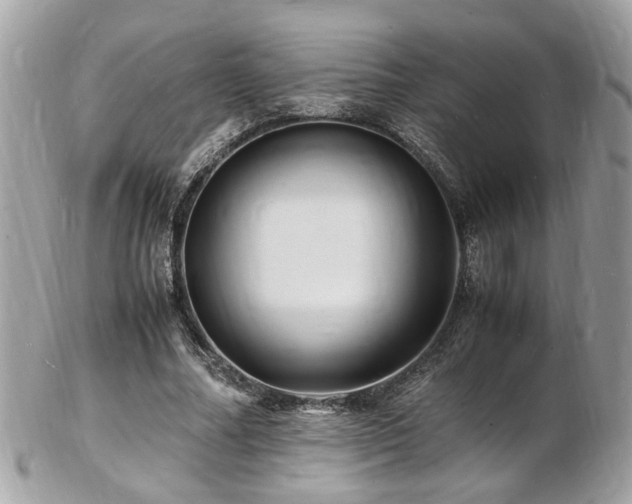 X0000103290682200808291334