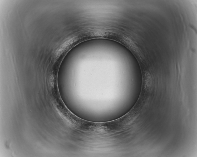 X0000103290683200808291334