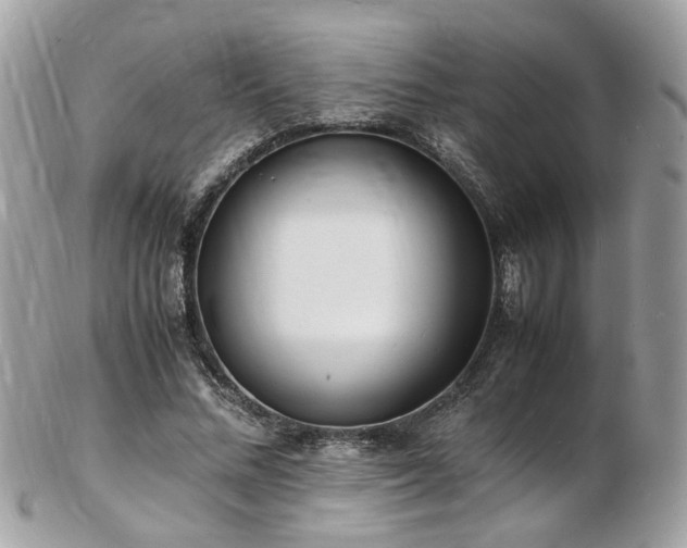 X0000103290684200808291334